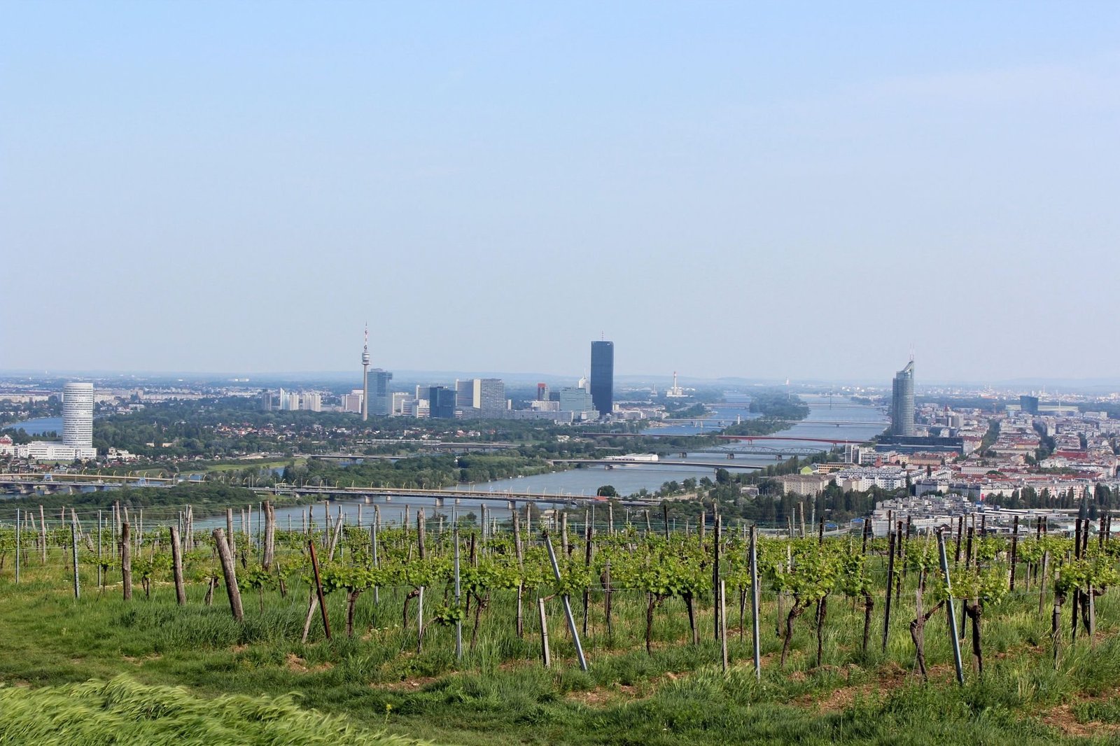 Bogensport Wien: Technik, Fokus und Gemeinschaft