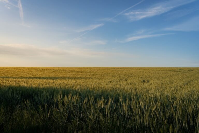 Klimaflucht: Immobilien in sicheren Regionen