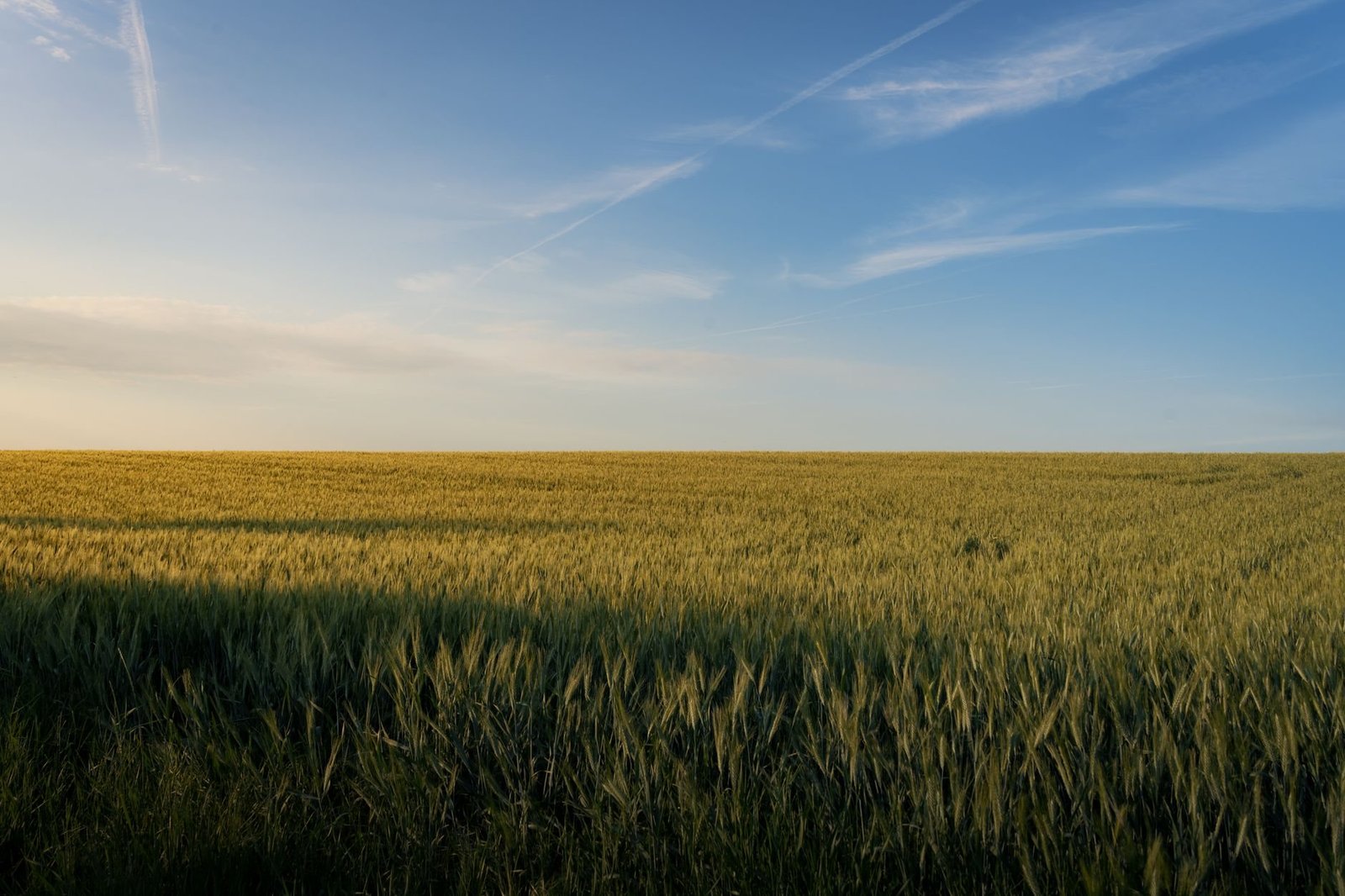 Klimaflucht: Immobilien in sicheren Regionen