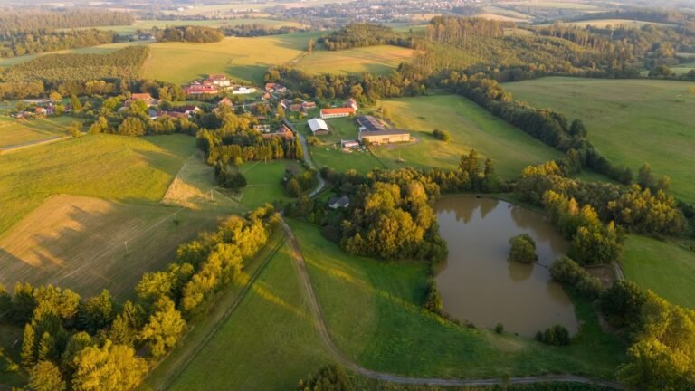 Photovoltaik auf dem Reiterhof: Energieautarkie 2026